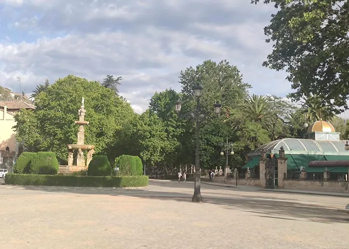 Lirio De Agua Centro